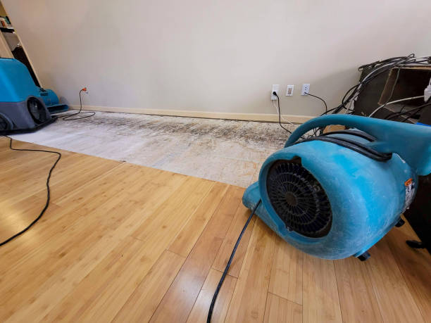 Professional Water Removal technician working in Center Barnstead, NH